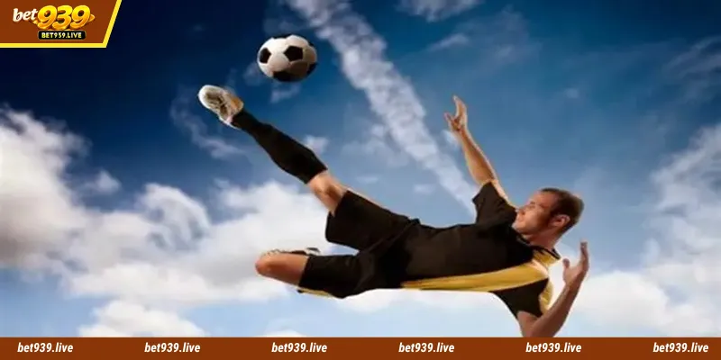 Many of the best sports betting categories